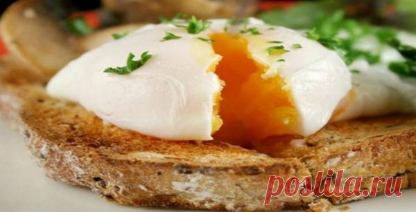 9 продуктов, которые буквально съедают твой жир! • Сияние Жизни