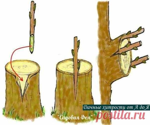 САДОВАЯ ФЕЯ - Дача. Сад и Огород