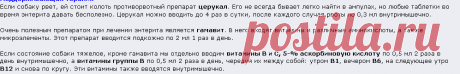 Вирусный энтерит у собак. Профилактика и лечение