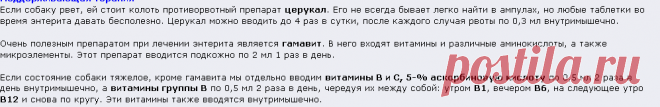 Вирусный энтерит у собак. Профилактика и лечение