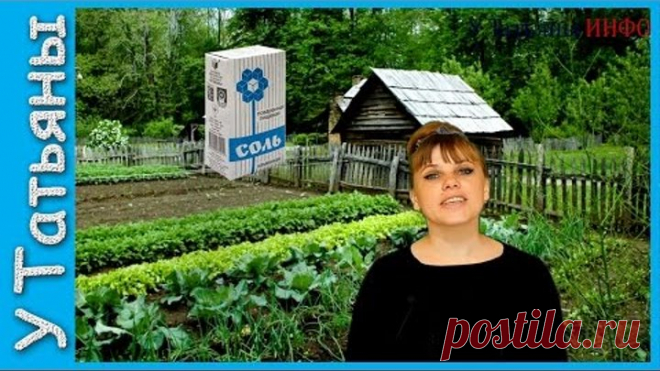 ЗАЧЕМ ПОМИДОРАМ ПОВАРЕННАЯ СОЛЬ | OK.RU