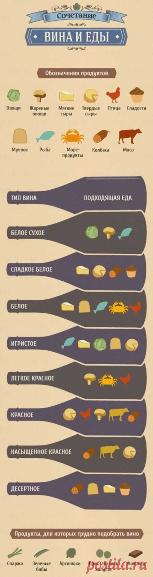 ЕДА С ВИНОМ: УЧИМСЯ ПРАВИЛЬНО СОЧЕТАТЬ...