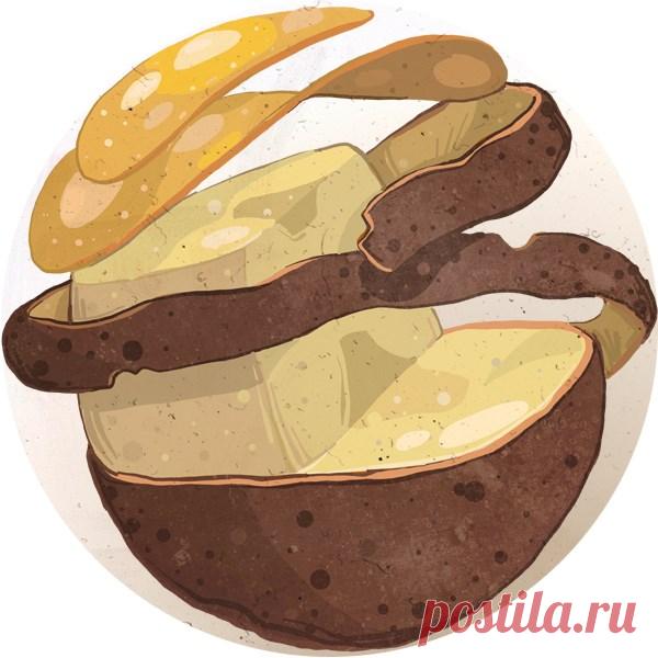 «Еда» — онлайн-журнал о еде и гастрономических развлечениях, номер 49 (111) (Картофель)