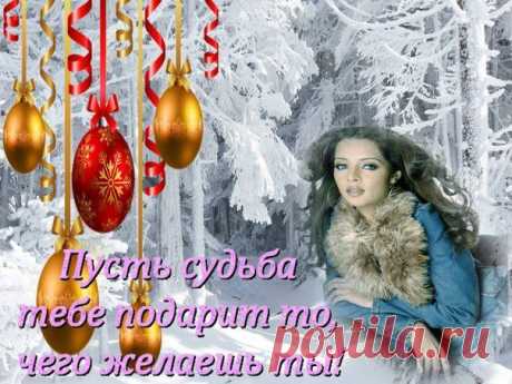 Анна Нифонтова