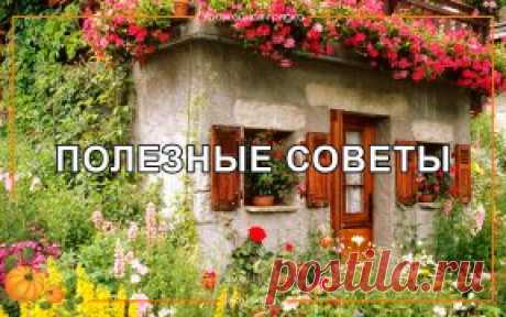 ПОЛЕЗНЫЕ СОВЕТЫ ДАЧА