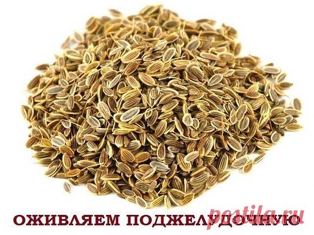 Одноклассники     СКОРАЯ ПОМОЩЬ ПРИ ПАНКРЕАТИТЕ. 4 рецепта.