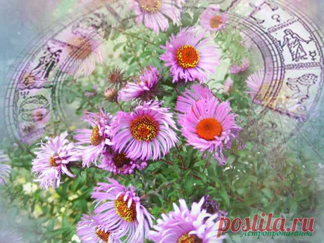 ✨ Недельный гороскоп с 17 по 23 октября 2022 ✨
Автор: астролог Нина Стрелкова. ✧ Энергетически насыщенная неделя. Солнце и Венера находятся в соединении. Точное соединение будет в воскресенье, 23 октября 2022, в конце знака Весов. Обе планеты находятся в сильных аспектах с Марсом и Плутоном, один из которых гармоничный, а второй – напряженный...