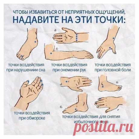 Невероятно, но Факт! (@best_fact) / Twitter