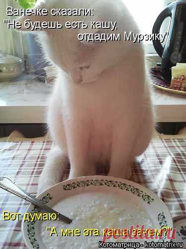 Смешные картинки про еду в веселых 