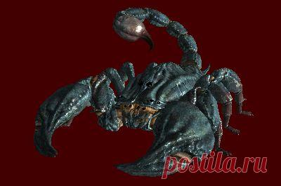 Ученые нашли останки древнего гигантского скорпиона в штате Айова