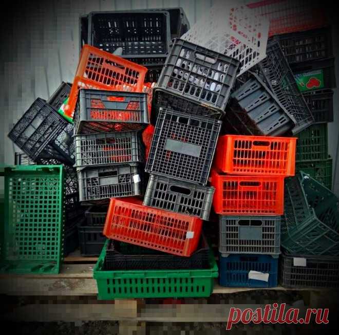Достаю бесплатно пластиковые ящики для своего сада. Всем соседям на зависть. Делюсь хитростями использования ящиков на участке. | Дневник Садовода | Яндекс Дзен