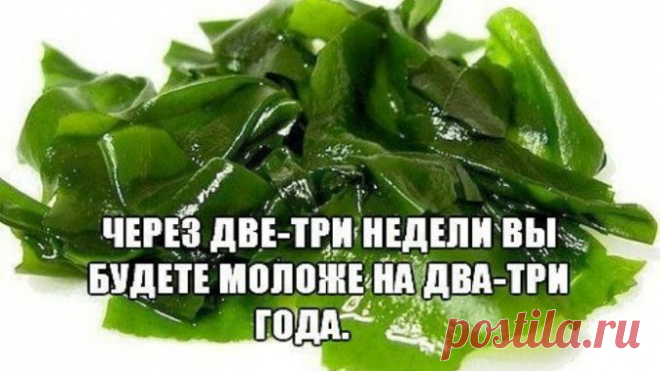 Очень простой и доступный рецепт. Покупаем в аптеке сушеные водоросли — ламинарию… — Полезные советы