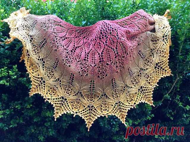 Ravelry: Serendipity Кружева шаль шаблон с Хейли Цанг Sather