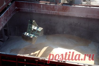 В ООН назвали выгоду России от зерновой сделки. С июля по сентябрь поставки пшеницы из России за рубеж выросли в три раза. Гендиректор Организации ООН по торговле и развитию Ребека Гринспен заявила, что экспорт увеличился в результате действия договоренностей по поставкам зерна. За аналогичный период экспорт пшеницы с Украины увеличился более чем в четыре раза.