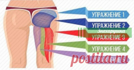 5 лучших упражнений для проработки каждой мышцы ягодичной группы. Лучше любого спортзала Ну что, приступим!