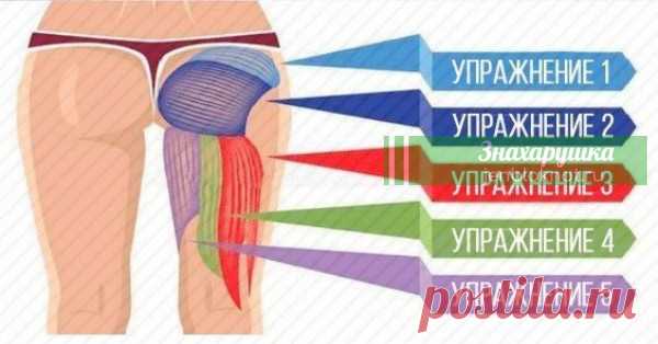 5 лучших упражнений для проработки каждой мышцы ягодичной группы. Лучше любого спортзала Ну что, приступим!