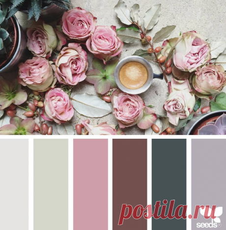 jessica colaluca (@designseeds) • Фото и видео в Instagram