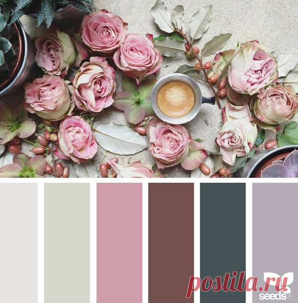 jessica colaluca (@designseeds) • Фото и видео в Instagram