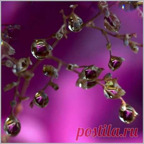 капли росы от пленAIR