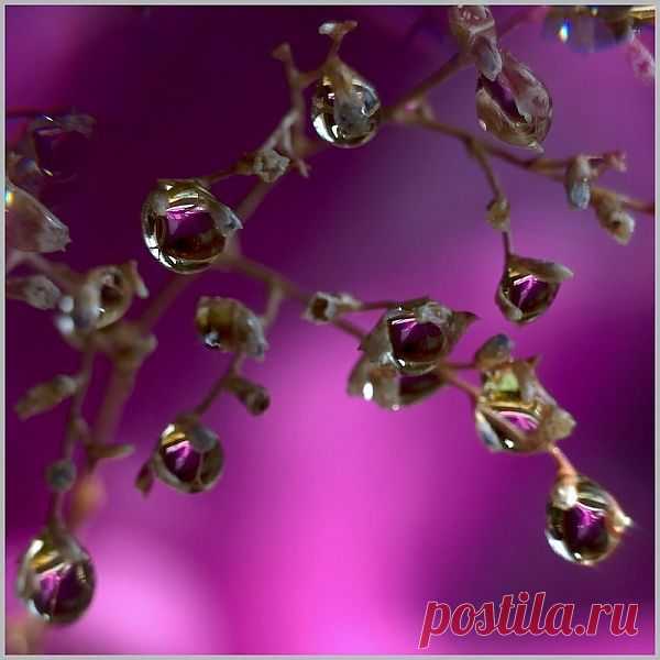 капли росы от пленAIR