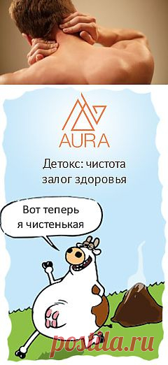 Вытягивание позвоночника перед сном (видео) — медицинский портал Doctor.kz