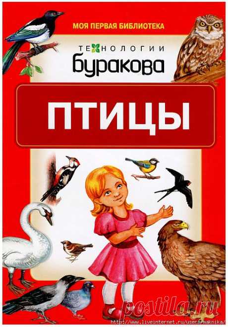 Карточки &quot;Птицы&quot;.
