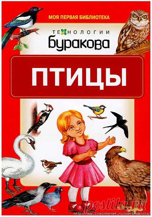 Карточки "Птицы".