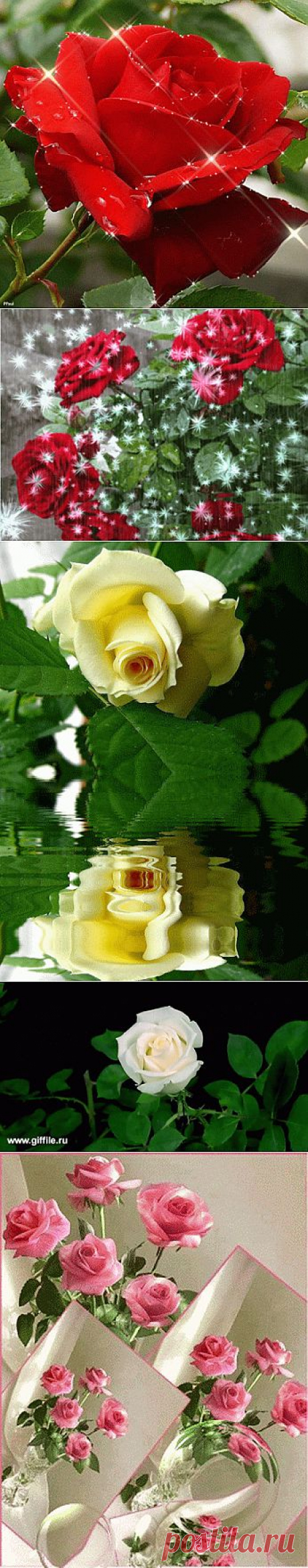 MELİH ŞİMŞEK – Google+