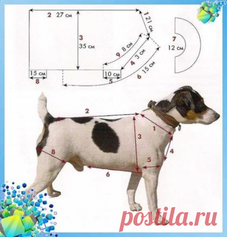 ​Утепляем собачек