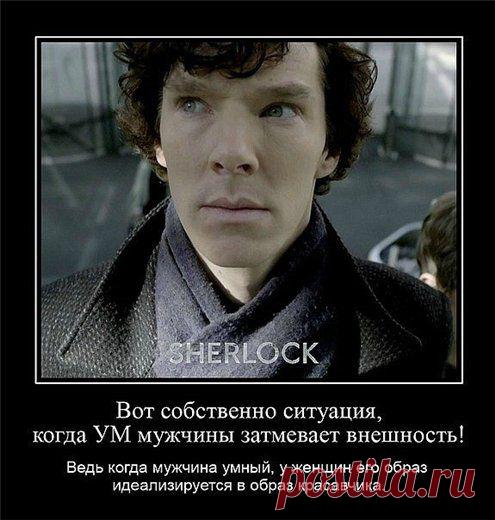 Да, он красавчик)