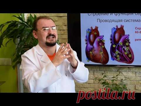 Все об аритмии: тахикардия, брадикардия, экстрасистолия, блокада, мерцательная аритмия. ССС: Часть 2