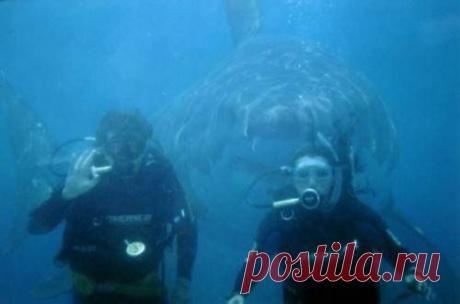 Фотографии на стене сообщества | 8 672 фотографии | ВКонтакте