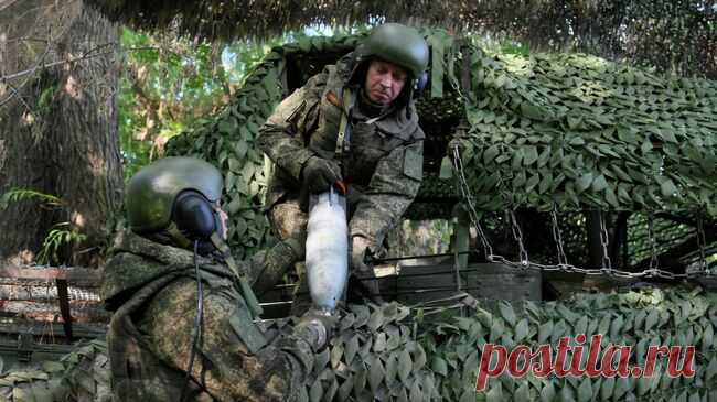 Пес по кличке Рыжий спасал российских солдат под Артемовском