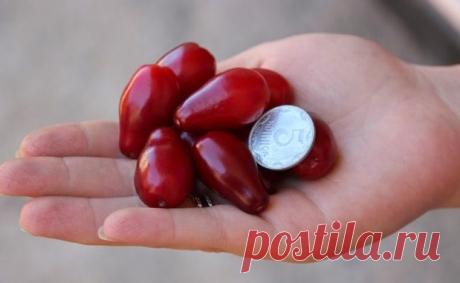 7 ягод кизила спасут от отечности ног и вздутых вен! Читайте внимательно рецепт и избавляйтесь от .... ⋆