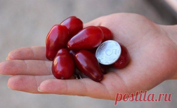 7 ягод кизила спасут от отечности ног и вздутых вен! Читайте внимательно рецепт и избавляйтесь от .... ⋆