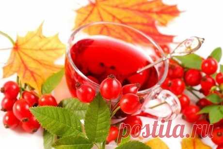 Айболит | Группы Мой Мир