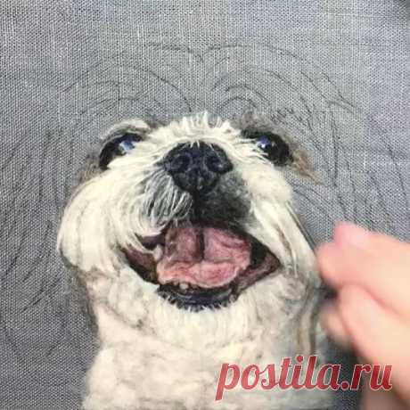 In progress. (At first glance, this thumbnail looks a bit like a sock puppet! 🤪🧦😂) #paintingwithwool #petportrait