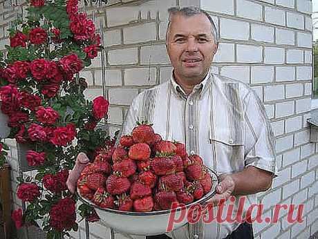(96) Одноклассники