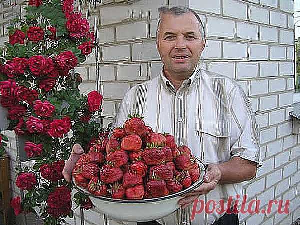 (96) Одноклассники