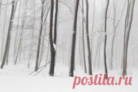 Wintry