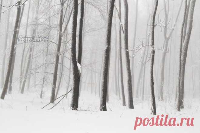 Wintry