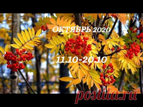 Таро Прогноз на октябрь 2020  (период 11-20 октября  2020 года) Астрологический Оракул Симболон