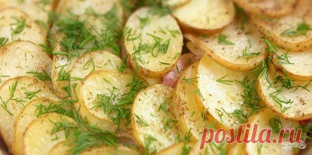 Вкусная картошка по-украински в духовке - пошаговый рецепт с фото на Повар.ру