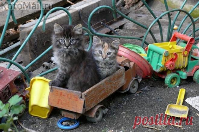 Мы едем, едем...