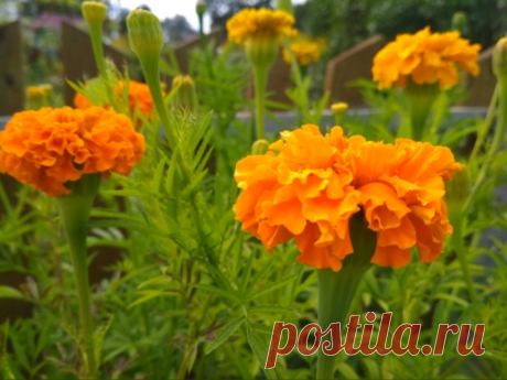 Вот и время доброго утра и прекрасного настроения😊😊😊