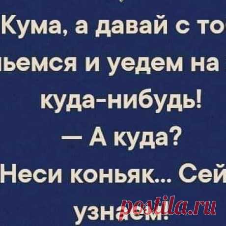 Image may contain: text that says '-кума, a давай с тобой напьемся и уедем на хрен куда-нибудь! A куда? -неси коньяк... сейчас узнаем!'