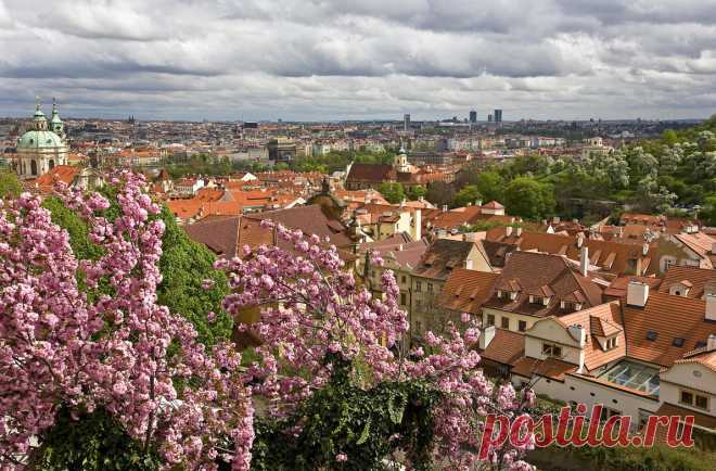 прага - Поиск в Google