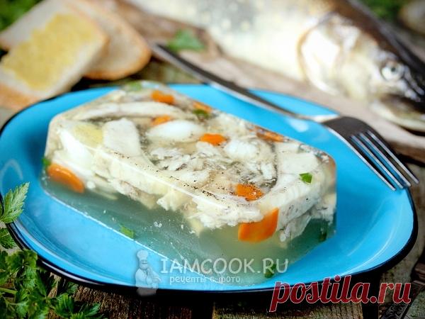 Заливное из щуки — рецепт с фото