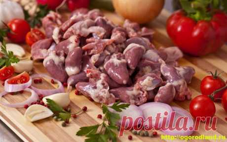 Как приготовить куриные сердечки. Топ 8 вкусных рецептов   Куриные сердечки продукт очень популярный, но мало кто знает, как можно много пригото