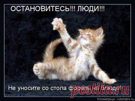 Смешные картинки с животными
